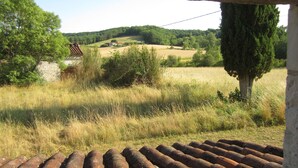 Un intérieur rustique offrant une vue sur un paysage rural, avec des champs, des arbres et un mur de pierres.