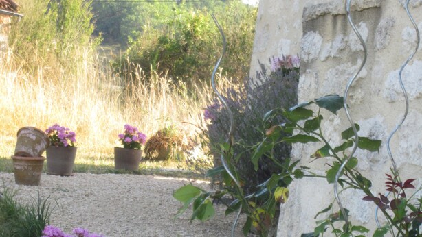 Un jardin avec des roses blanches et des fleurs violettes, un mur de pierre et un chemin de gravier.