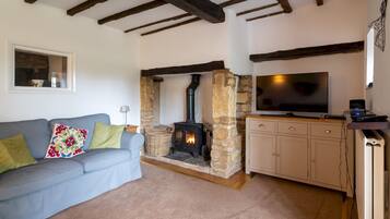 Smart TV, fireplace, DVD player