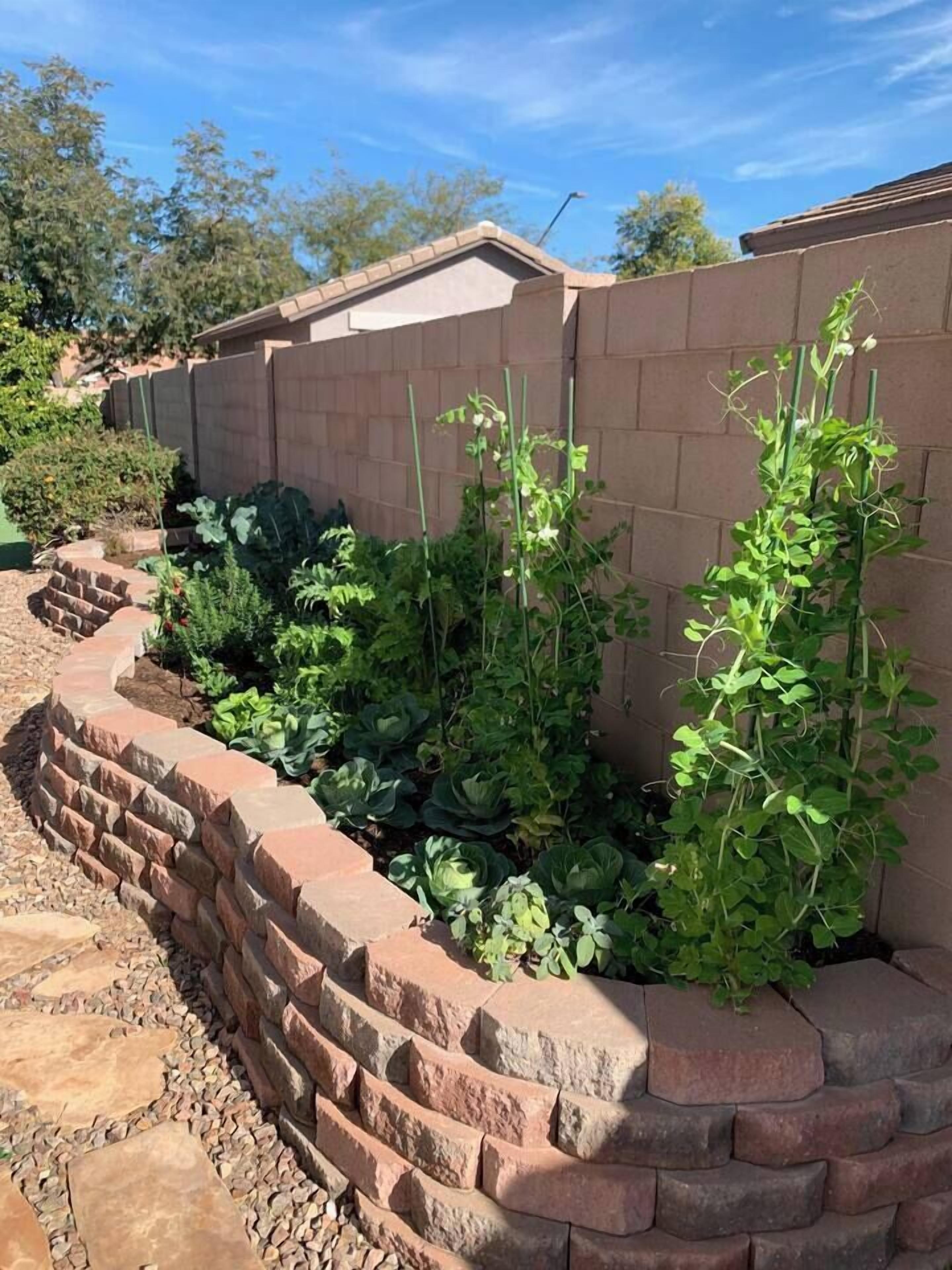 A garden with raised beds and a brick wall.