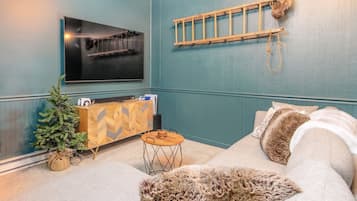 Smart TV, fireplace, video games, books