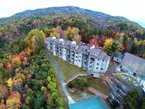Experience serene living in a beautifully landscaped setting with a swimming pool and lush forest surroundings.