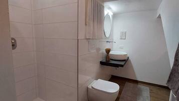 Combined shower/tub, hair dryer, bidet, towels