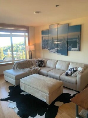 Smart TV, books - Schweitzer Retreat (Sandpoint)