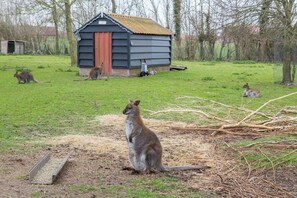 Parco della struttura
