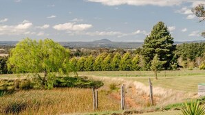 A rural landscape with a variety of trees, a clear sky, and distant hills.