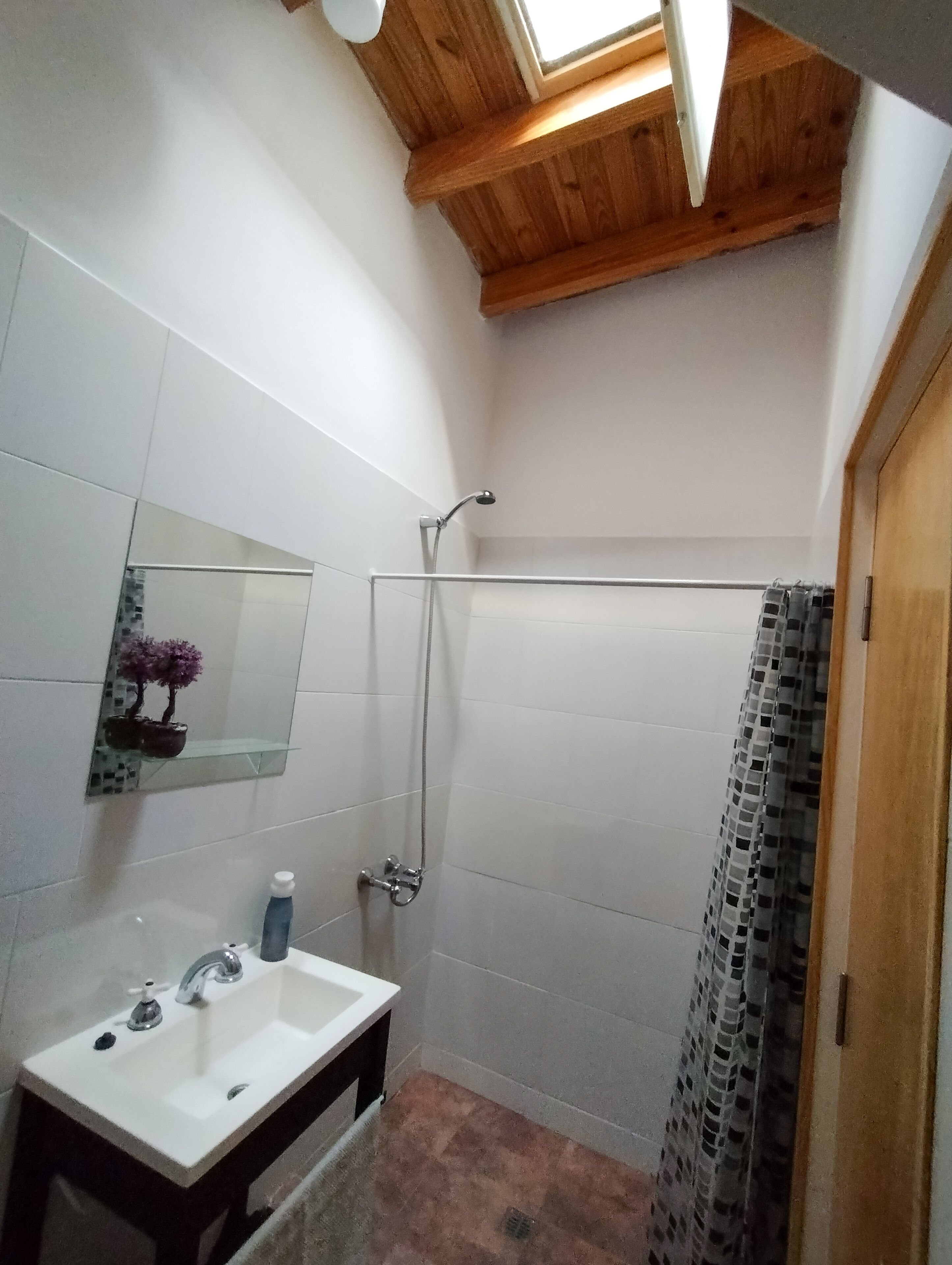 Ducha, bidet, toallas, papel higiénico