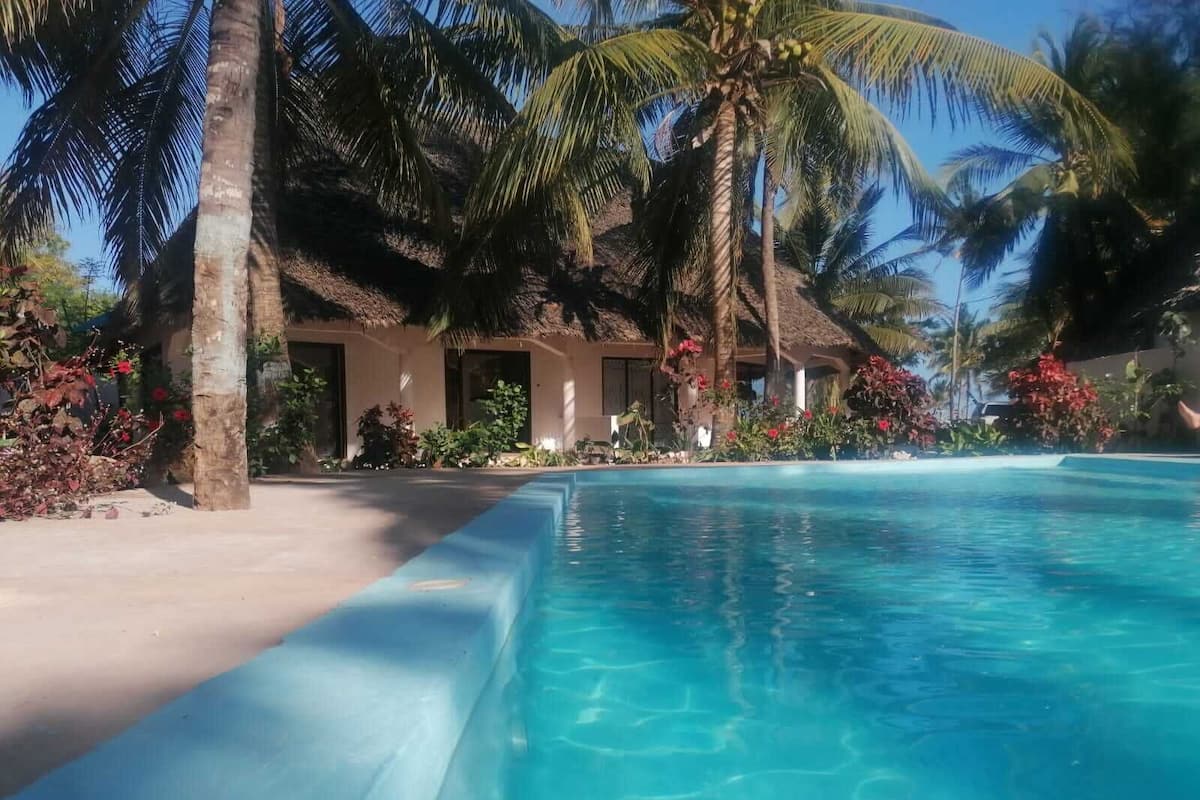 Une vue sur la piscine, avec une eau d’un bleu limpide, des palmiers et un bâtiment surmonté d’un toit de chaume.