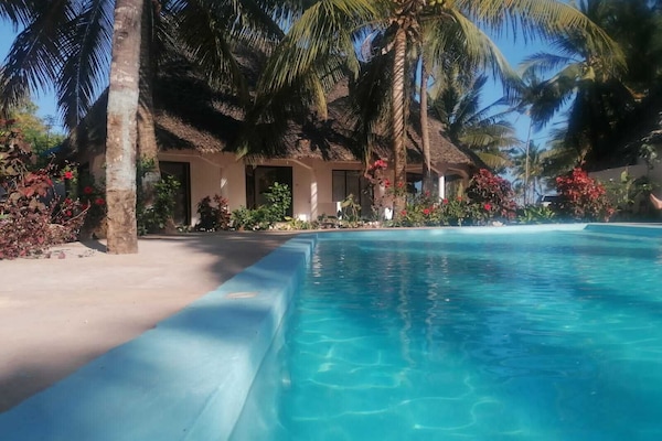 Standard Room, Pool View | Desk, laptop workspace, free WiFi, bed sheets