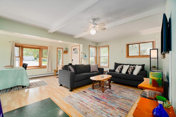 TV, books - Dog-friendly cottage with fenced yard, firepit, W/D, & WiFi - walkable location (Empire)