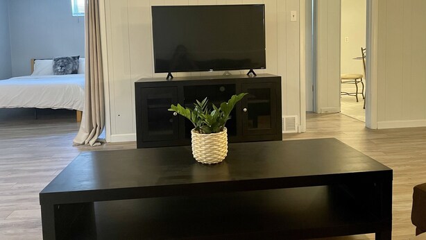 Una sala de estar con un televisor de pantalla plana sobre un soporte negro, una planta tejida sobre una mesa negra, y una cama con un almohadón al fondo.