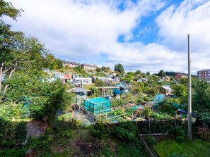 A residential area with houses, gardens, and a blue swimming pool.