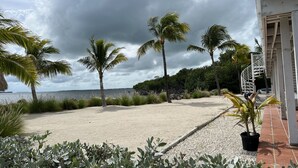 Una playa con palmeras, un sendero arenoso y un edificio con fachada blanca.
