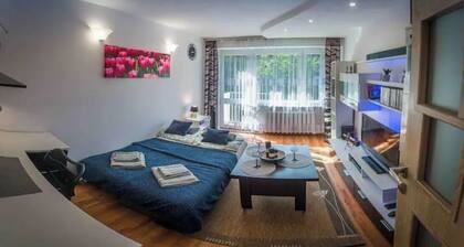 Comfortable Seven Apartment Close to Downtown