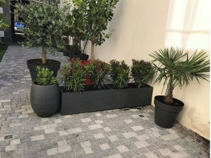 Terrein van de accommodatie