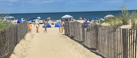 Strand