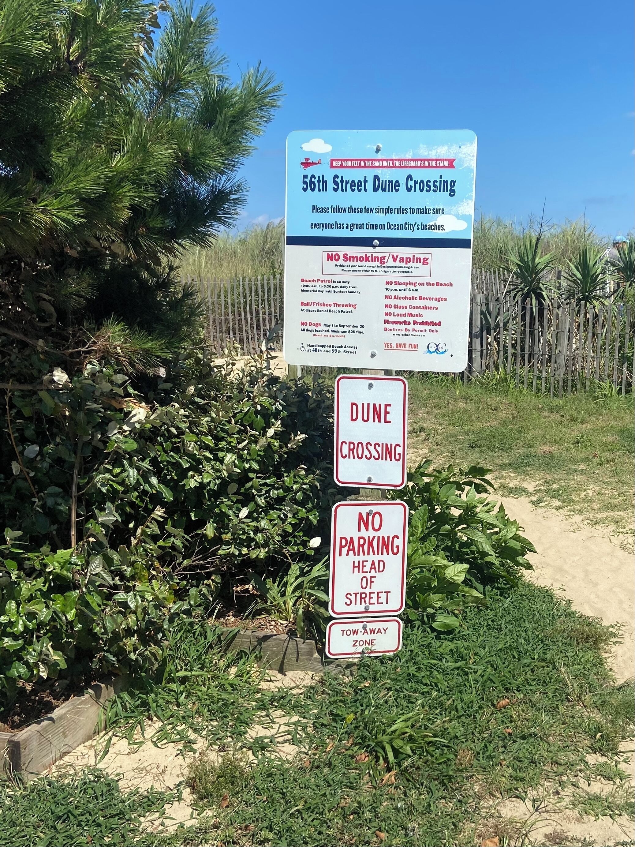 A beach area with signs indicating dune crossing, no parking at the head of the street, and a tow-away zone.