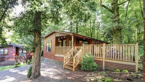 A cabin with a wooden deck and stairs leading to a porch, surrounded by trees and gravel. - Woodland Retreat (Windermere)