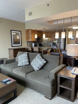 TV, fireplace, books, stereo