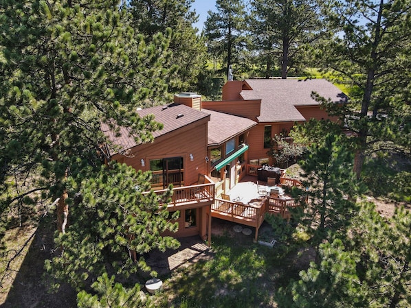 Une cabane dotée d’une terrasse, entourée d’une forêt dense de pins.