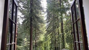 A view through a window with a wooden frame, looking out at a dense forest with tall trees and a small building with a rusted roof. - Cabin Forest Retreat (Monte rio)