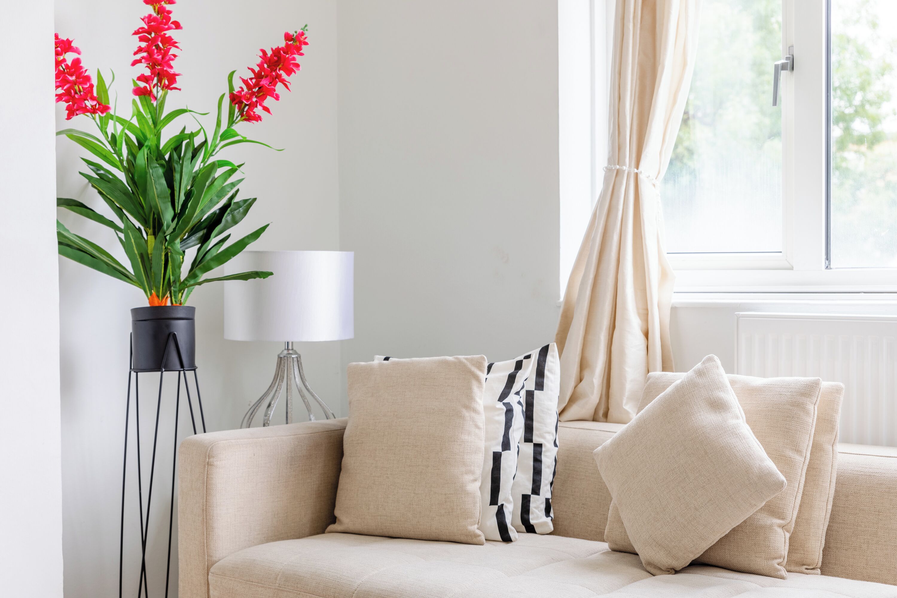 A living room with a beige sofa, black and white patterned pillows, a potted plant with red flowers, and a floor lamp.