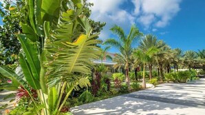 Een geplaveid pad omzoomd met palmbomen en tropische planten.