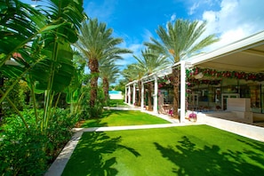 Property grounds - Stylish 1 Bd/1Bth Penthouse Apt w/ Rooftop Pool (Grand Cayman)