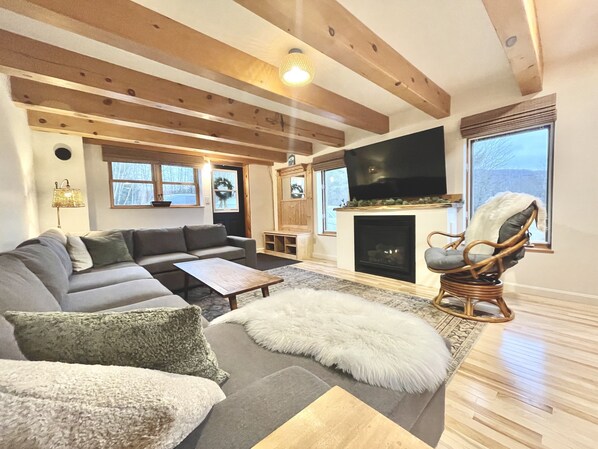 Smart TV, fireplace, books