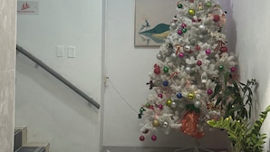 A staircase leading to a door with a white wall, a framed picture, a white Christmas tree with ornaments, and a potted plant.