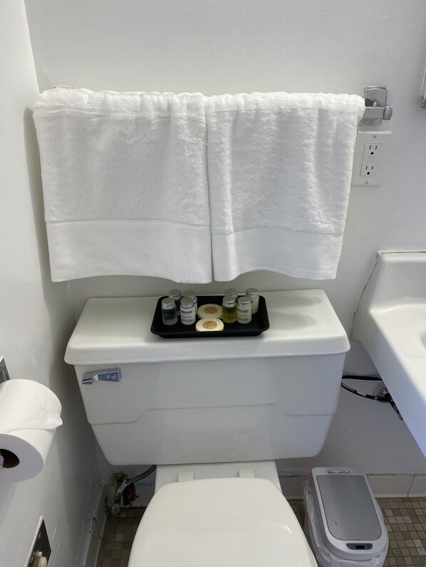 Bathroom features a toilet, sink, and towel rack.