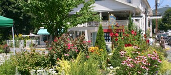 TOP RATED Romantic rustic luxury + flowing stream + walk to town = Brook Cottage