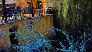 A stone bridge with a railing, surrounded by greenery and a building with a warm interior light. - Ela cave house (Ürgüp)