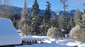 A snowy landscape with a wooden deck and a mountain backdrop. - Luxury Cabin in Recreation Paradise! Close to everything: Nature, Food, Suncadia (Cle Elum)