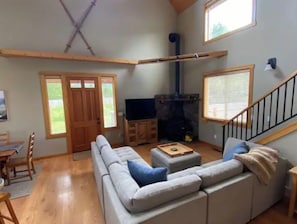 Smart TV, chimenea, reproductor de DVD y libros