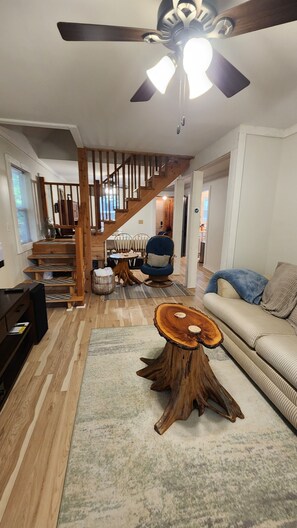 Smart TV, fireplace, DVD player, books