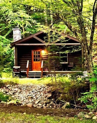 Rustic Log Cabin #6 - "Fireside"