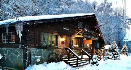 Rustic Log Cabin #6 - "Fireside"