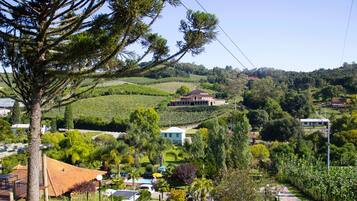 A vineyard landscape with a house and a gazebo.