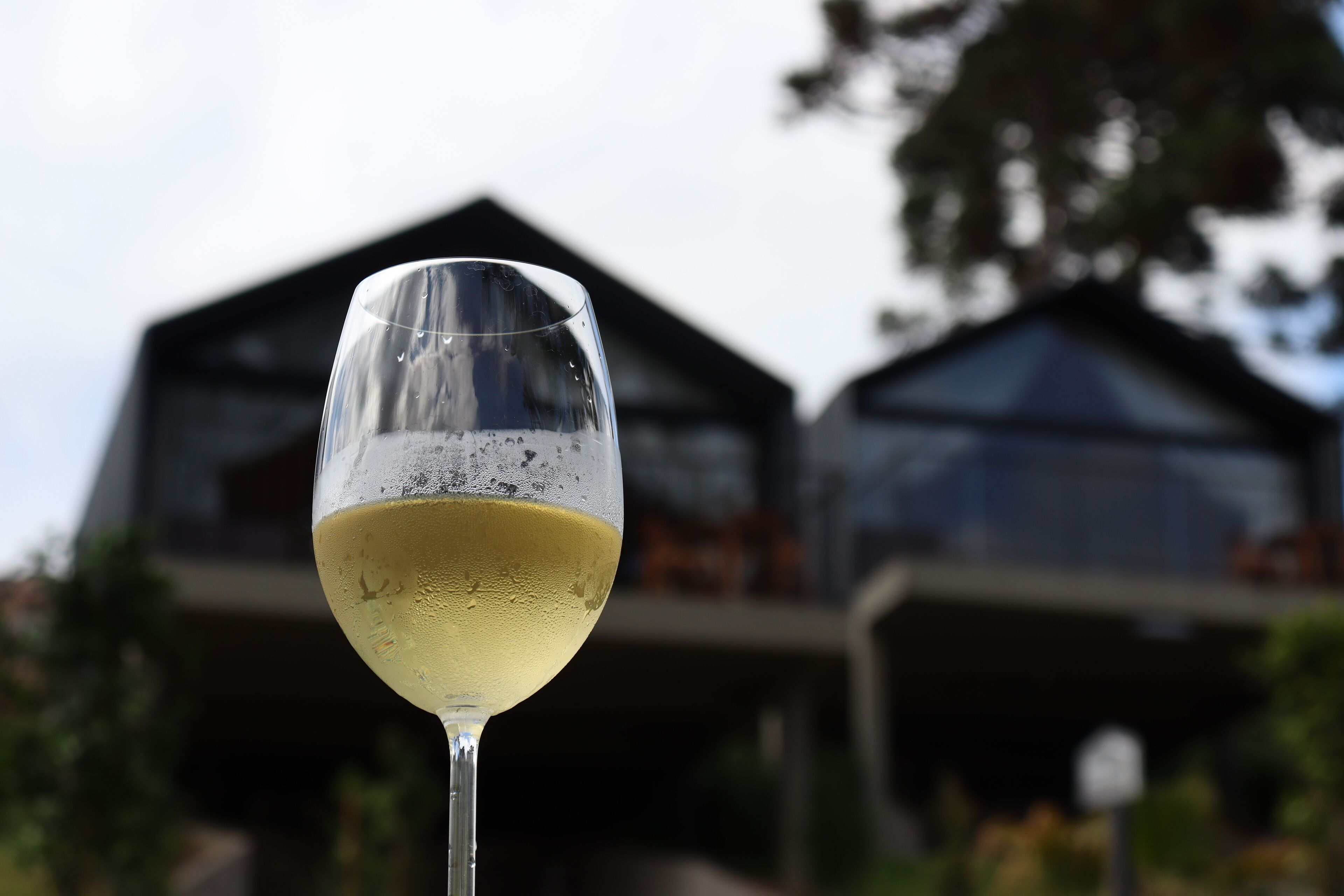 A glass of white wine in front of a building with a modern design.