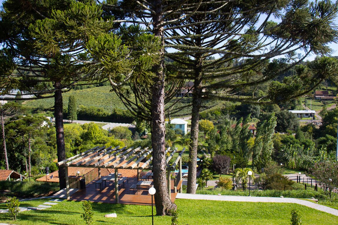 Deluxe Cabin, Mountain View | View from room