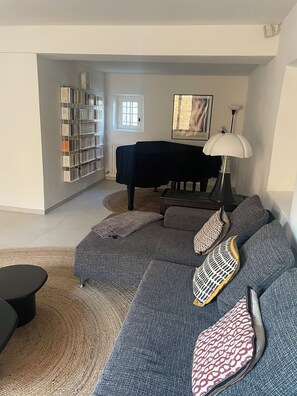 TV connectée, cheminée, jeux vidéo, lecteur de DVD