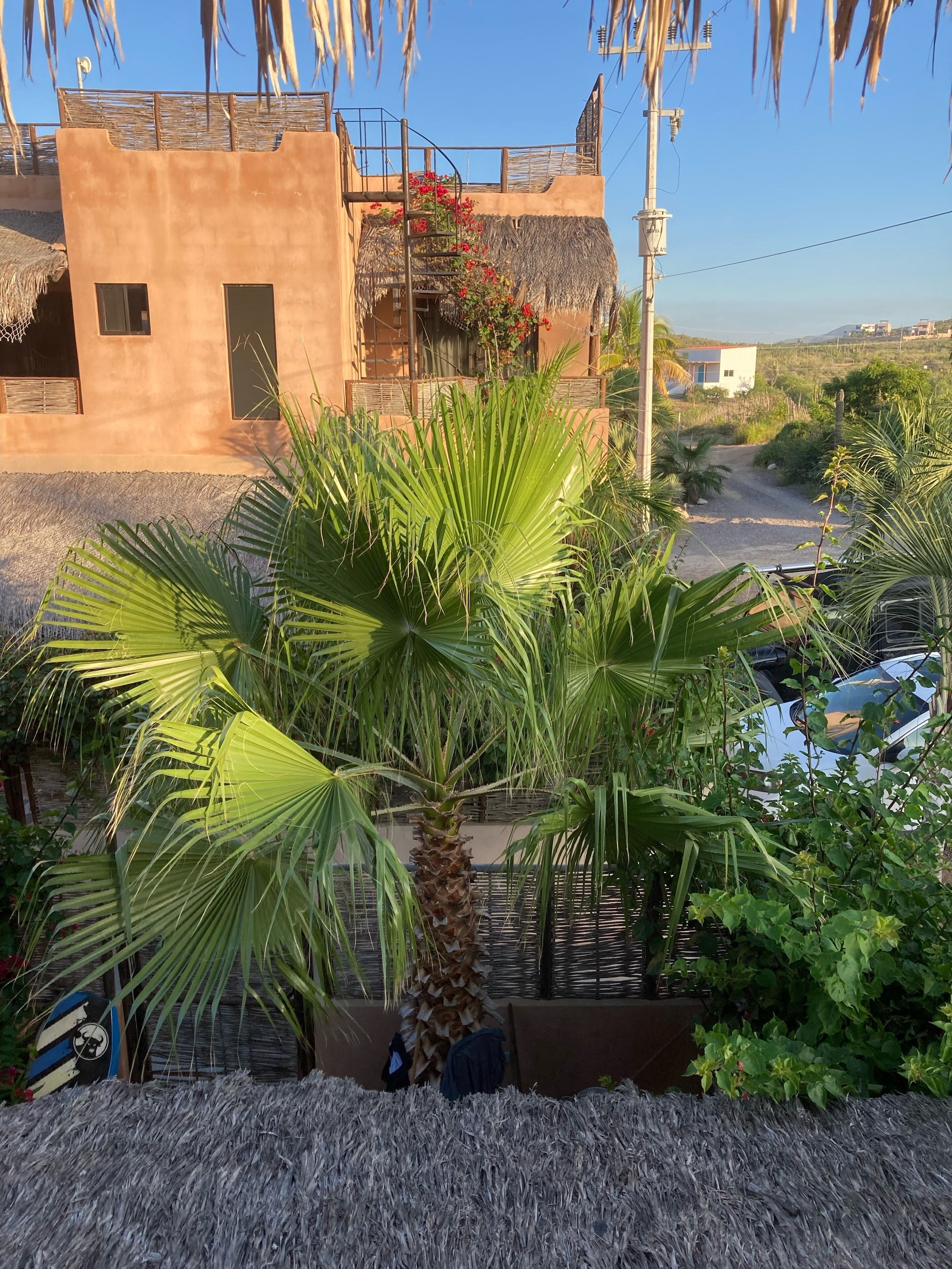 Jardines del alojamiento