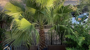 A residential area with a palm tree, a thatched-roof building, and a clear sky. - Authentic 3-story Mexican Villa with Rooftop Views - 5 min from the beach! (El Pescadero)
