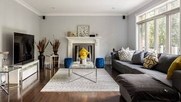 TV connectée, cheminée, livres, vidéothÚque