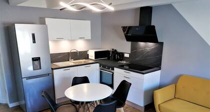 Appartement moderne entiÚrement rénové