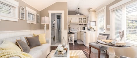 TV connectée, cheminée, lecteur de DVD, livres