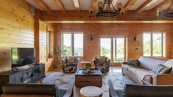 智能電視、壁爐、足球機