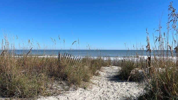 Strand