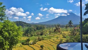 A view of terraced rice fields, palm trees, and a mountain in the background. - A Romantic Gateaway Villa With The Best View Of Bali (Kabupaten Karangasem)